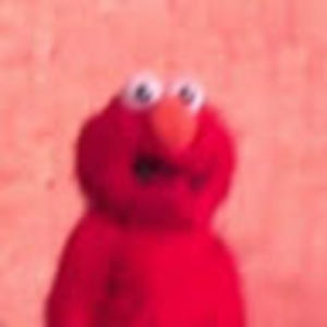 Meet your Posher, Renee